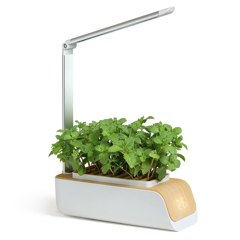 Smart Home Growth Light Garden Box