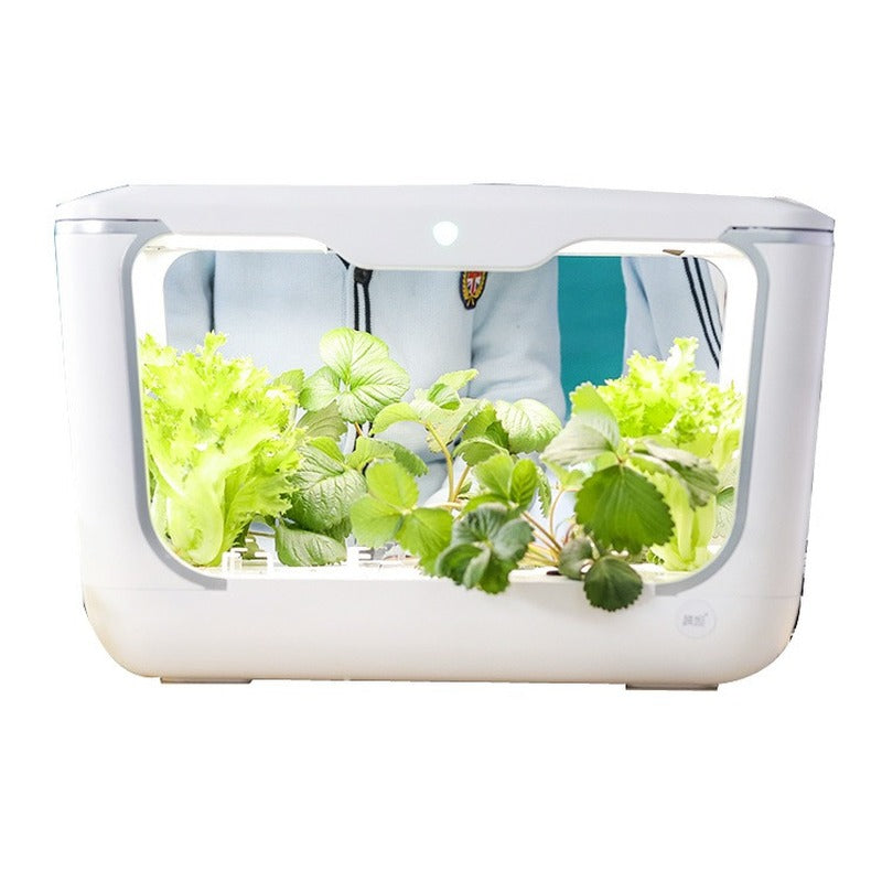 Hydroponics Indoor Planter Growing Box