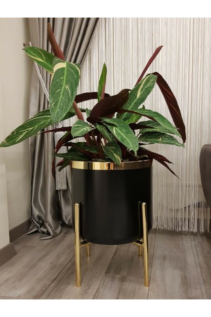 Durable Planter Pot