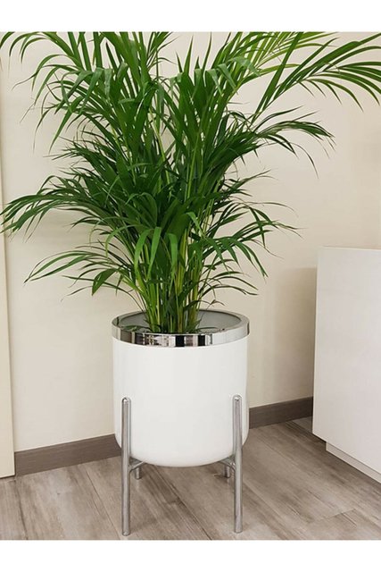 Durable Planter Pot